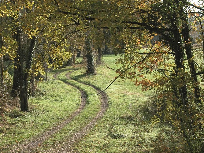 Voie Verte de Chalosse