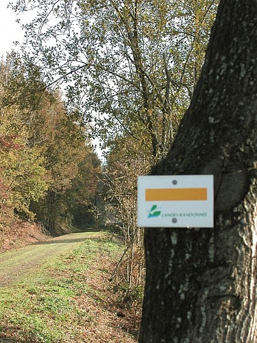 APAEP Section randonnée pédestre