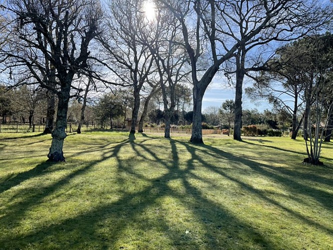 71E47D13-C081-41EF-B5E1-92A396EA92C1_1_105_c