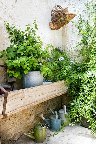 Domaine de Sengresse