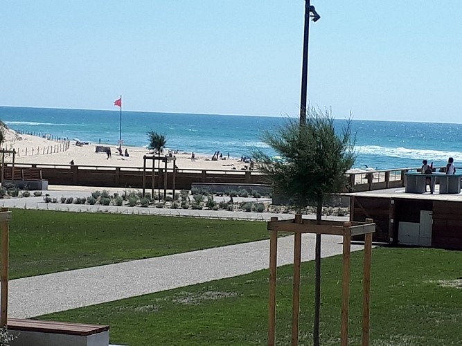 2020---Tarbouriech--2---Copier-