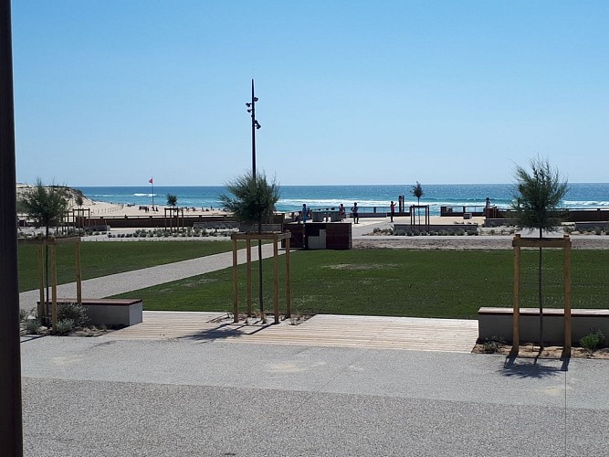 2020---Tarbouriech--3---Copier-