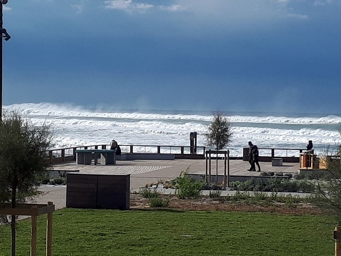 2020---Tarbouriech--4---Copier-