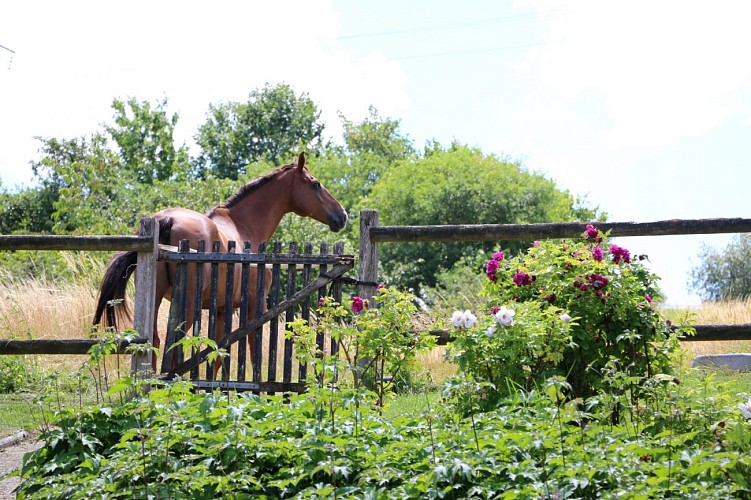 Gîte les Chenevières