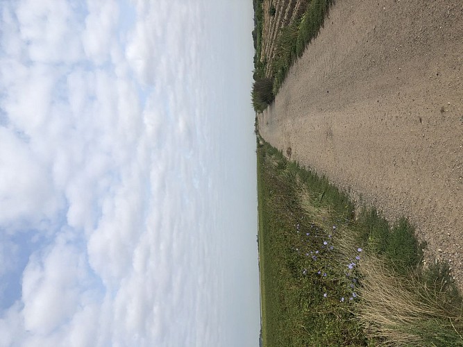 Ga naar links op dit kruispunt en volg tot aan het volgende Y-kruispunt.