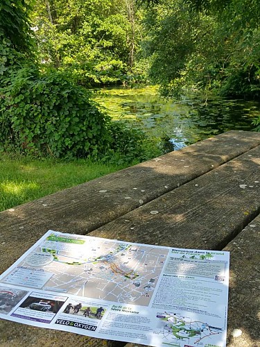 table pique nique 2 -