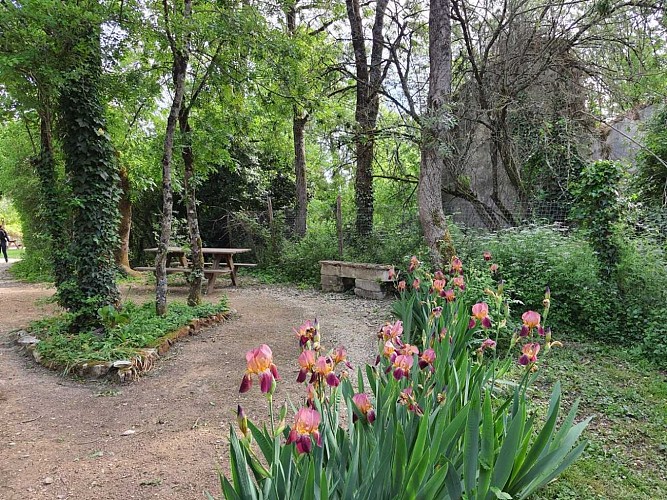 table pique nique 6 -parc ornitho - a.bodet