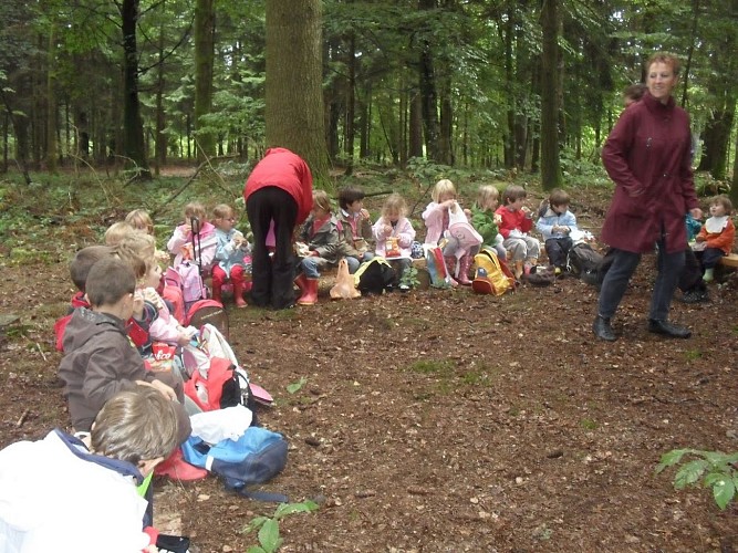Ferme de la Bitarelle_5