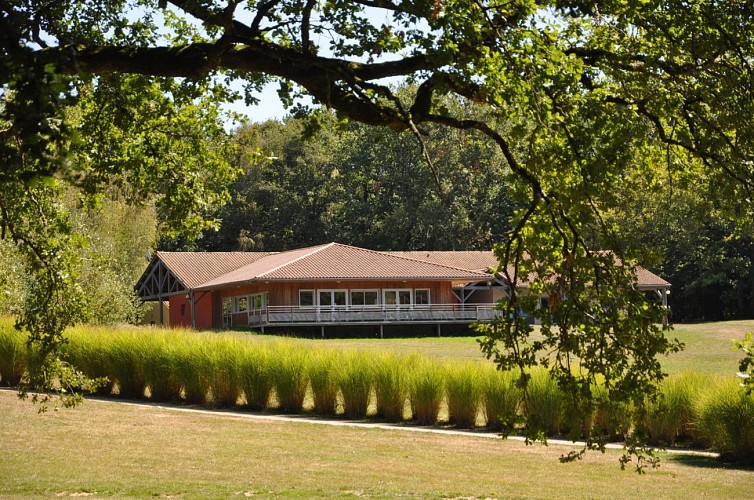 FB_IMG_1651436196535