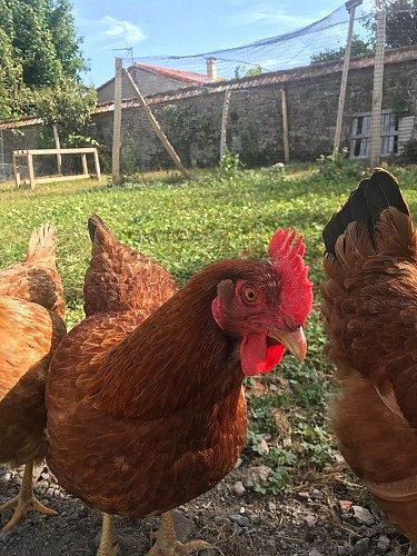 Gîtes de la Frérie Le Florentin