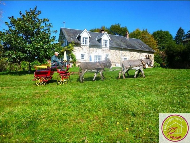 Le Gîte des ânes- Ludogîte