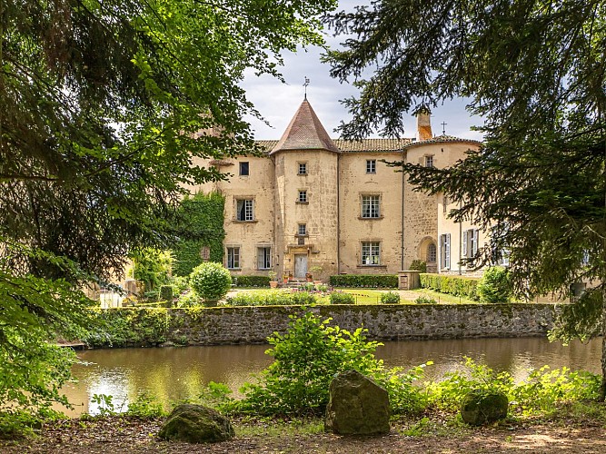 From Ribes to Miodet