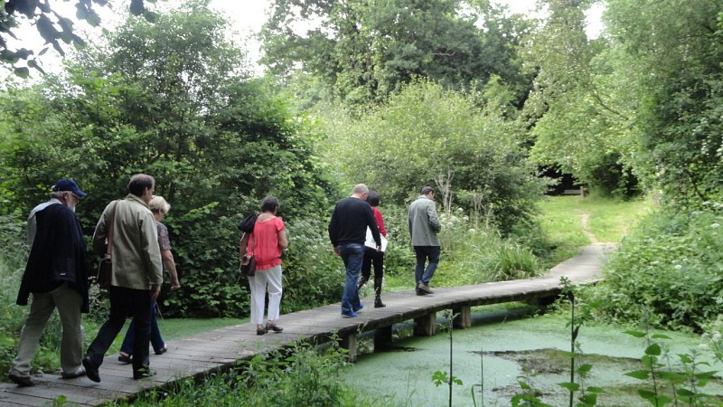 The washtub and the path Des Garennes