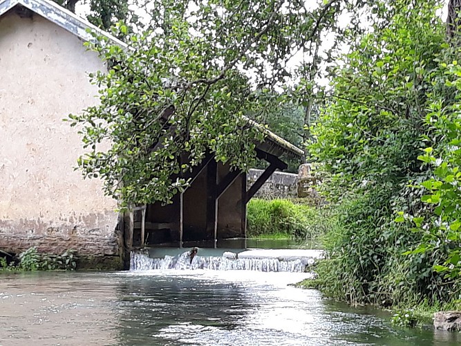 Autour des tables de pique-nique