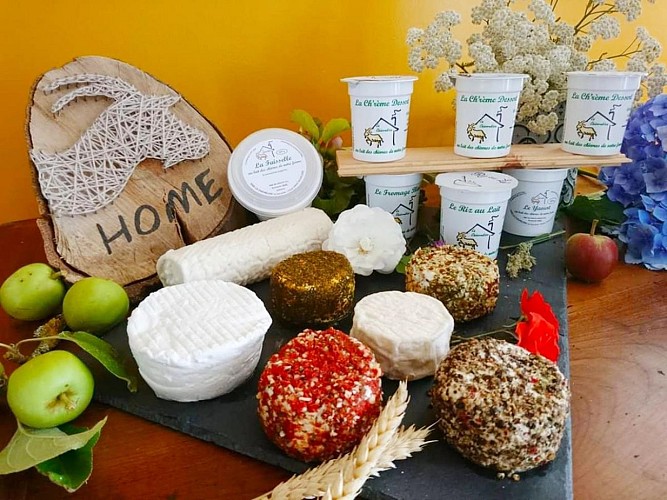 La chevreline à Vassy (TIS) (2)