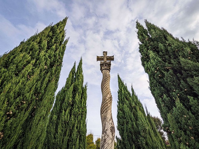 PXL_20201116_143316954