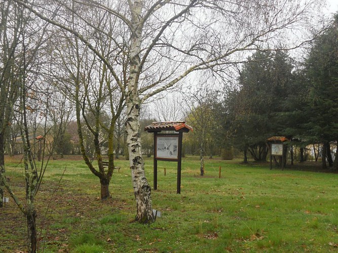 Arboretum de Saint Maurice la Clouère_2