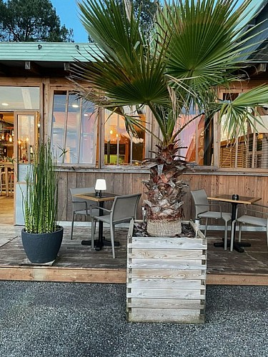 CASA DES KO'PINS (1)