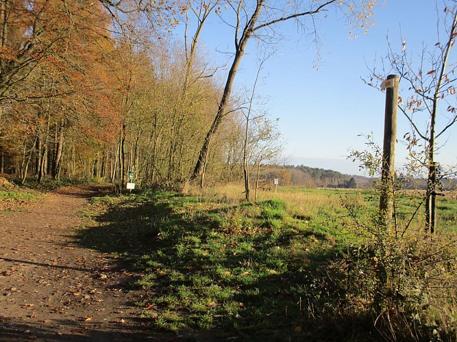 image du object