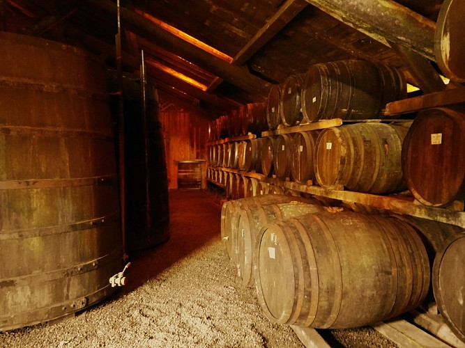 2020-LABA-Domaine Jaurrey Laberdolive Armagnac chai-©OTLandes d'Armagnac-EC (8)