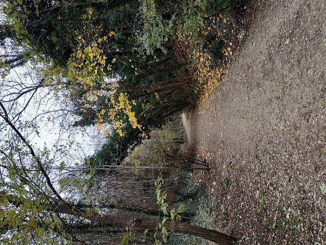Parc des Coteaux d'Avron: entrée du Bois de Neuilly.