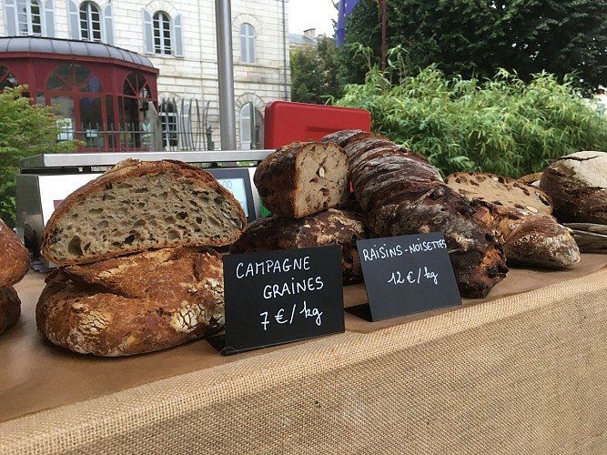 Pain - Campagne graines & Raisin noisettes