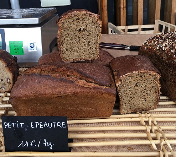 Pain - Petit Epeautre (2)