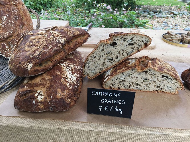 Pain - Campagne graines (1)
