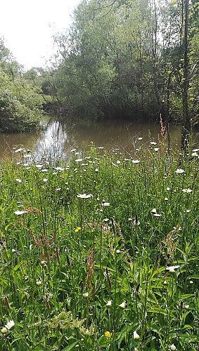 moncoutant-la-chambre-au-moulin-fleurs