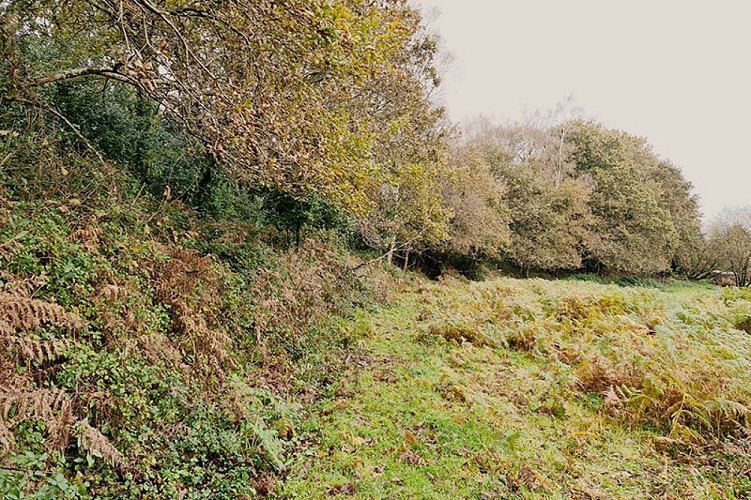 Castro de Sequeiro -  Sequeiro Fortress