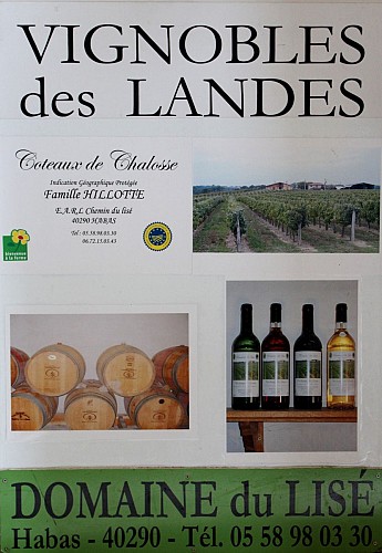 Domaine de Lisé  (1) (1324x1920)