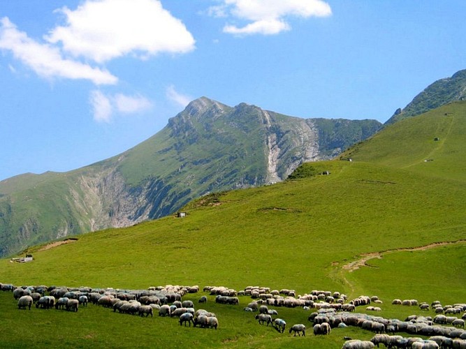 Accompagnateur montagne Daniel Hargain - pic d'Orhy - Saint Etienne de Baïgorry