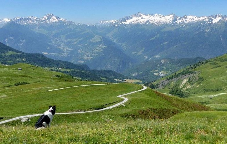 Vue depuis le refuge du Nant du Beurre