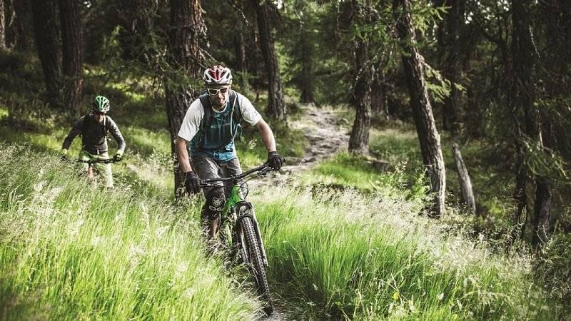 Des pratiquants de VTT en forêt