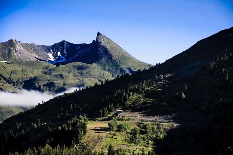 La forêt des Ecudets