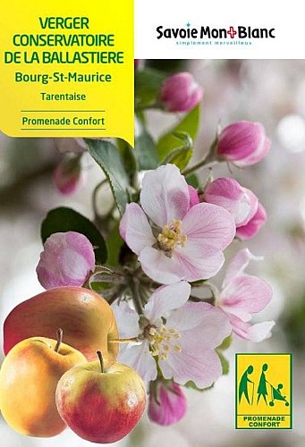 Promenade confort du verger de la Ballastière