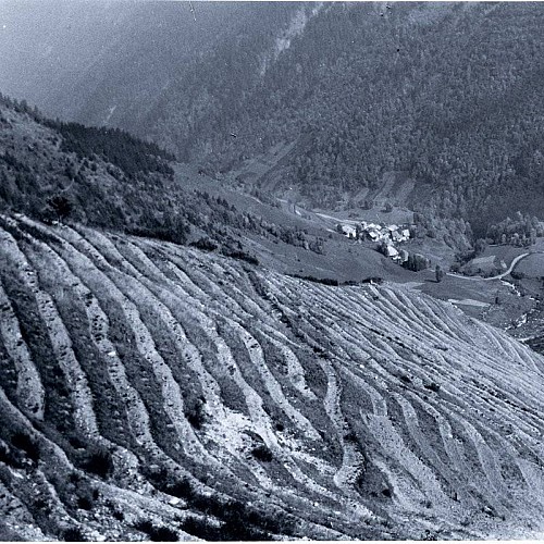 ouverture des banquettes au cours de l'été 1960 - plantation à l'automne.
