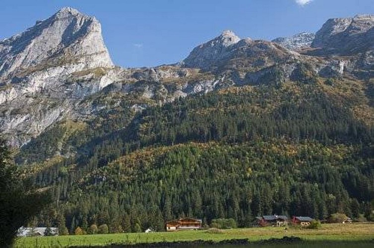 La forêt communale de Pralognan la Vanoise. Commune de Pralognan la Vanoise.