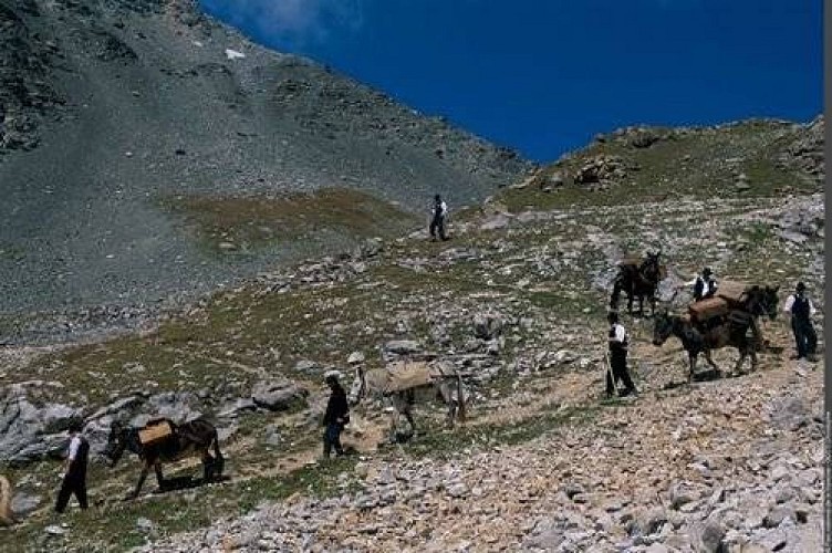 Reconstitution de la route des tommes