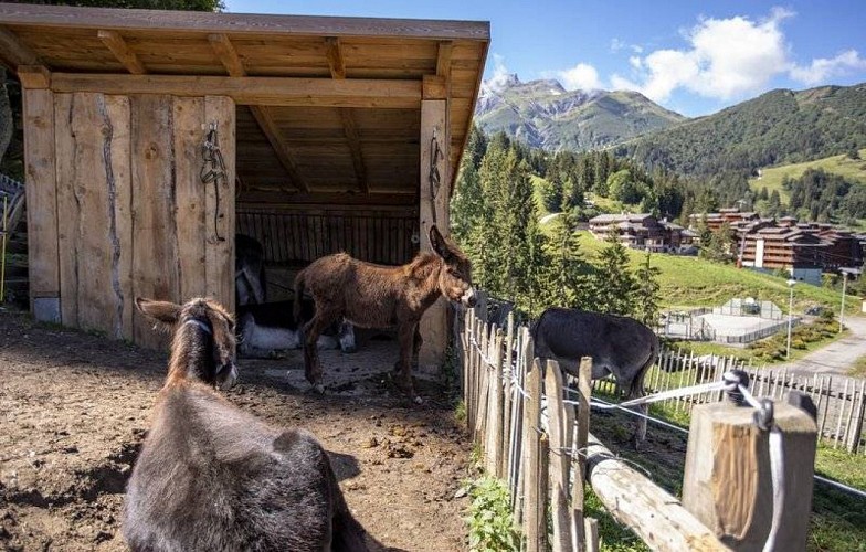 La ferme Valmo'Bourricot