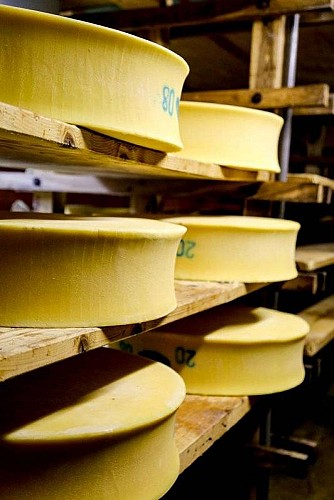 Le fromage Beaufort des alpages