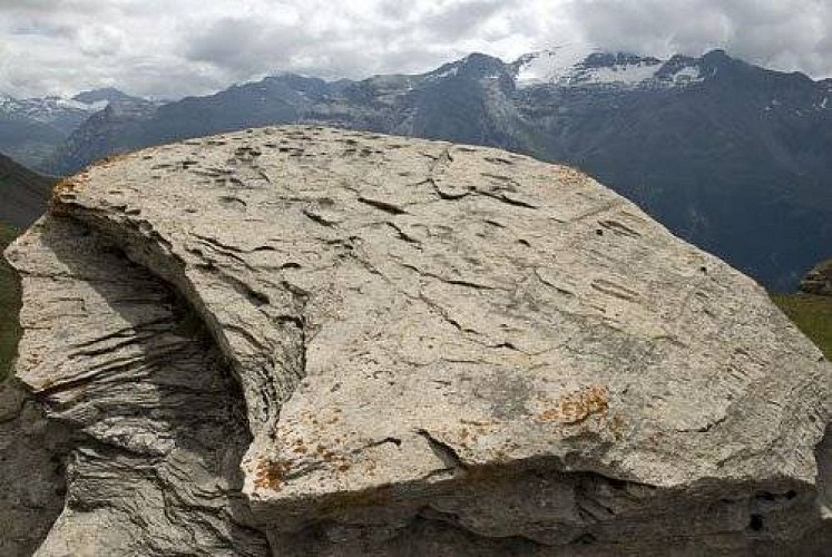La Pierre aux Pieds (2750m). Au fd. la Pointe de Ronce. Vue vers S.
