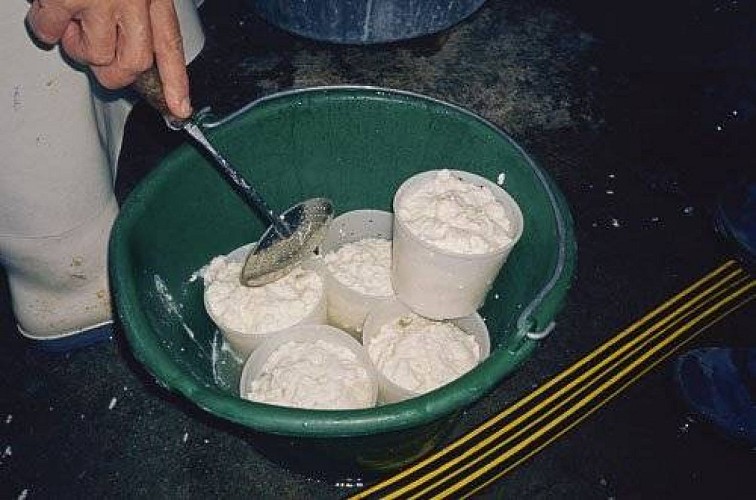 Fabricaton de séracs (fromage) au chalet du Plan du Sel.