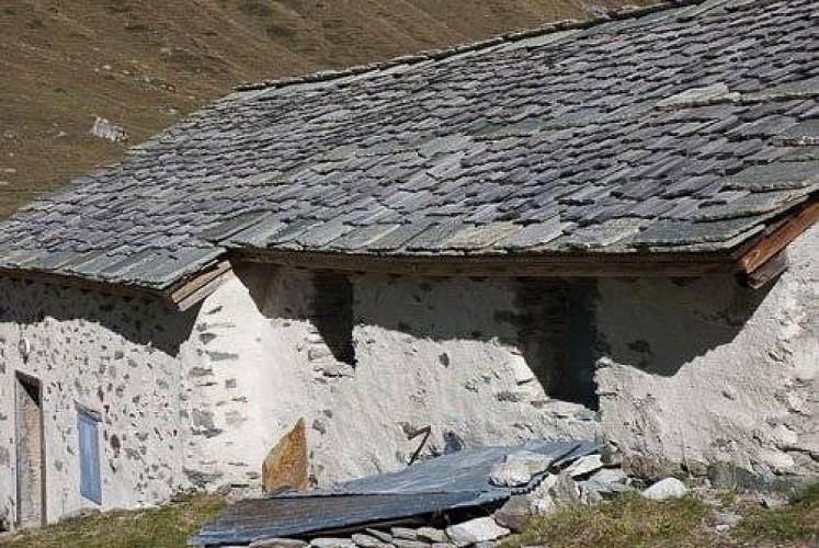 Toit en lauze et tavaillon, au chalet d'alpage de Ritort, commune de Pralognan la Vanoise.