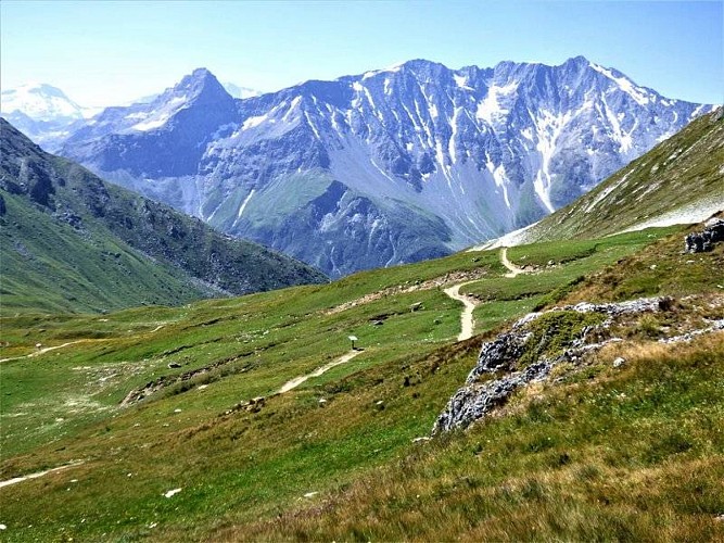 Sentier de découverte botanique