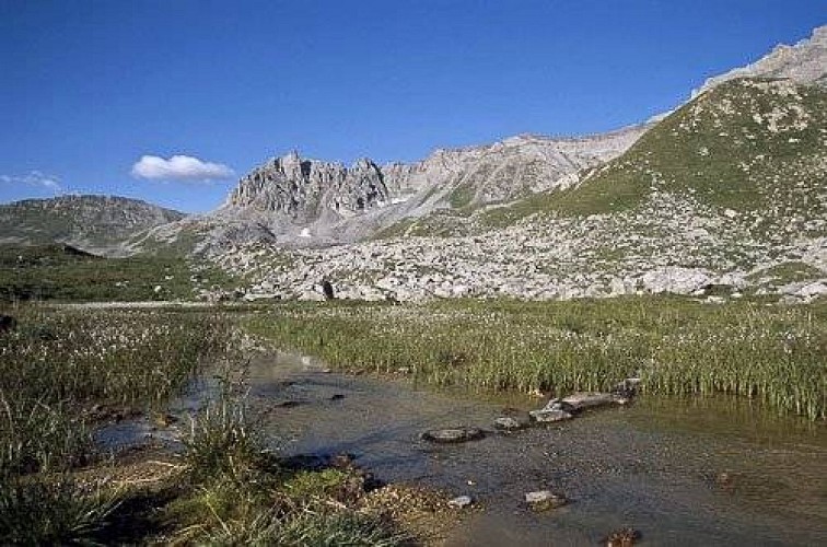 Zone humide à linaigrettes de Scheuchzer. Vue sur Grosse Tête. Vue vers SSO.