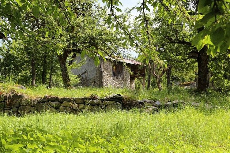Hameau le Petit Carrey