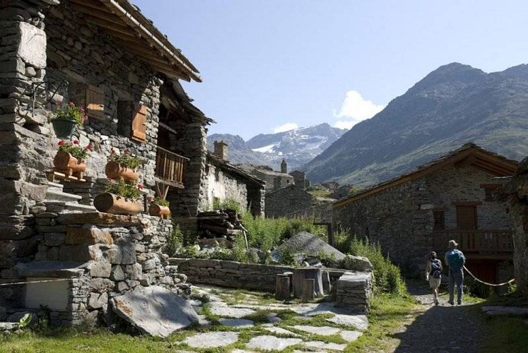 Vue sur le hameau de l'Ecot (2008)