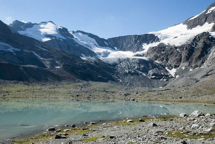 Vue sur le glacier des Evettes (2013)
