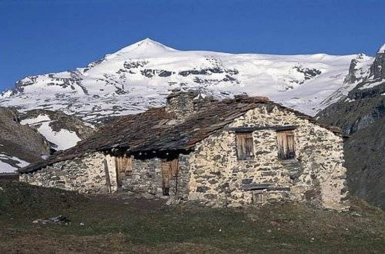 Le hameau de Pensamen (au N du Plan du Lac), façades SE (à g.) et NE (à dr.). Vue vers le Dôme de Chasseforêt.